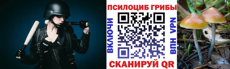 цены наркотик  hydra ONION  Галлюциногенные грибы GOLDEN TEACHER  Ковылкино 